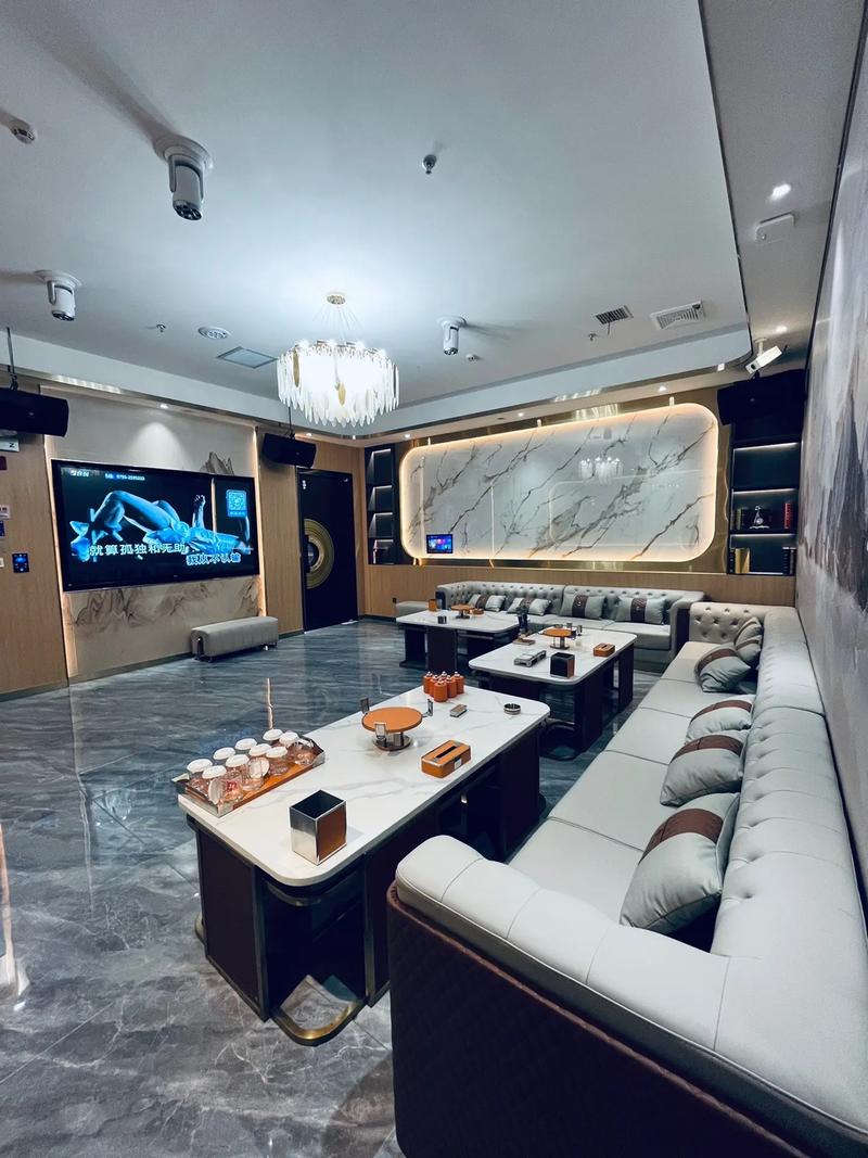 芜湖商务ktv推荐商务ktv哪里有-镜湖区ktv预订